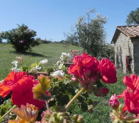 Agriturismo Perucci Di Sopra