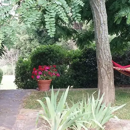 Agriturismo Perucci Di Sopra Scansano