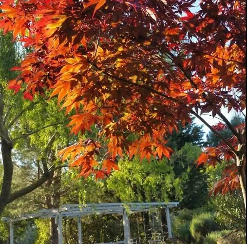 Agriturismo Perucci Di Sopra مزرعة للإقامة سكانسانو